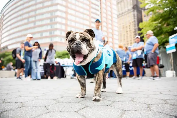 NYC ZERO Prostate Cancer 5K, photo 8 of 16